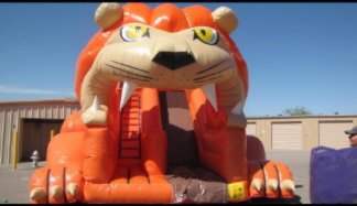 Lion Slide that is 20 Feet Tall!!! You have to try this!